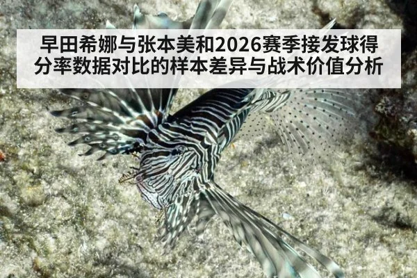 早田希娜与张本美和2026赛季接发球得分率数据对比的样本差异与战术价值分析