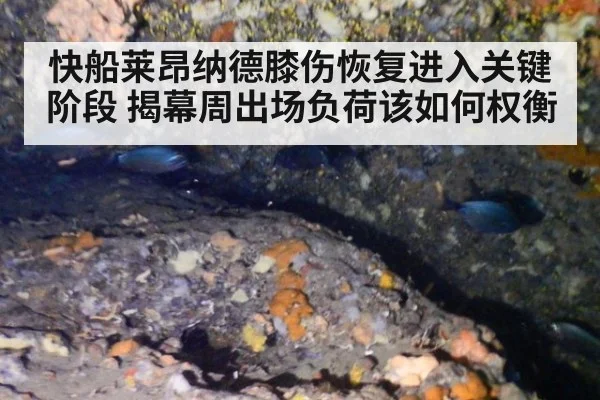 快船莱昂纳德膝伤恢复进入关键阶段 揭幕周出场负荷该如何权衡